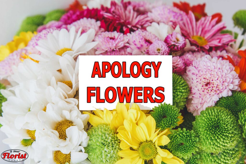 apology flowers tampa